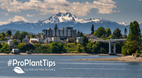 Gardening Success in Bremerton WA