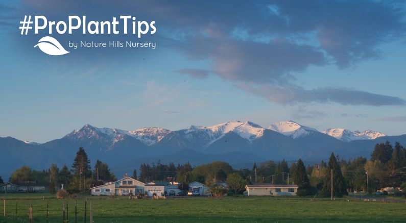 Sequim, WA native plants for garden success!