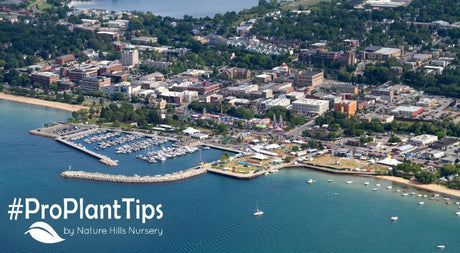 Cultivating Beauty: Traverse City Gardening by the Great Lakes
