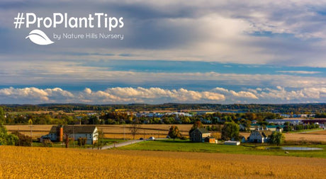 Best natives for Hanover, Pennsylvania