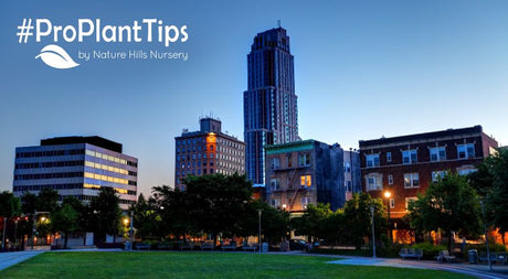 Find The Best Natives For New Rochelle, NY!