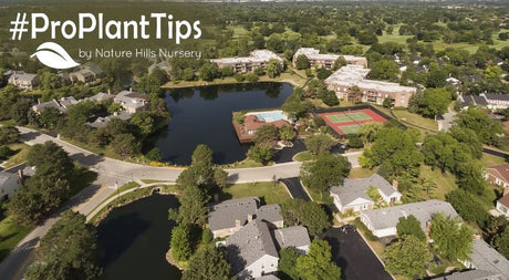 Hardy Plants For Northbrook, IL Gardens That Brave The Cold - Nature Hills Nursery