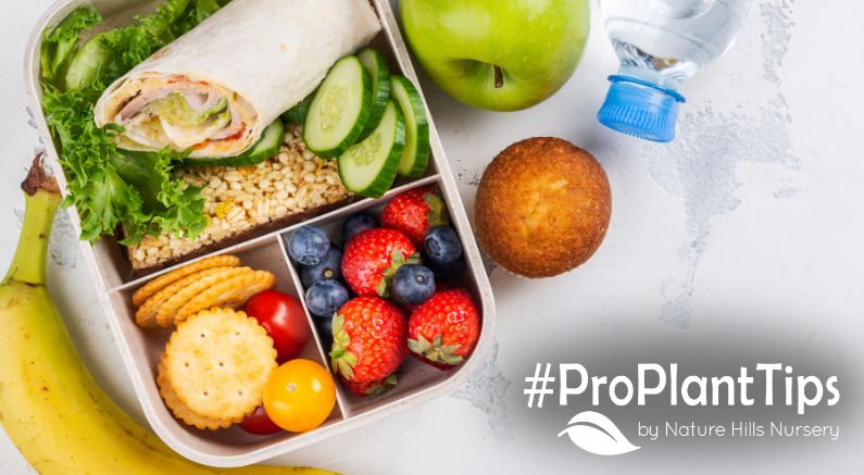 its national fruit at work day! Celebrate with these fun fruit facts