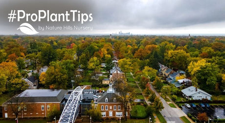 Cultivate Year-Round Beauty in “The Heights” - Nature Hills Nursery