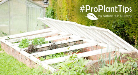 Get Started With Cold Frames!