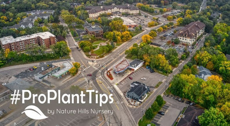 Minnetonka, Minnesota: Lake-Country Charm Meets Midwest Grit - Nature Hills Nursery