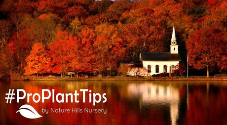 Gardening In Huntington, NY: Coastal Beauty & Colonial Roots - Nature Hills Nursery