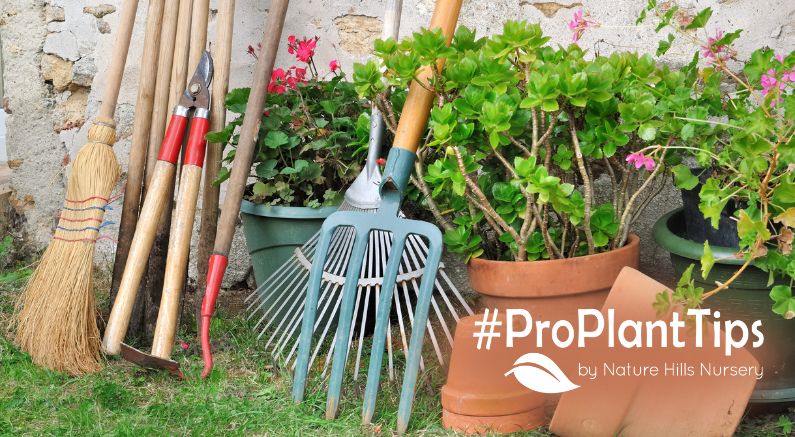 Cleaning and Storing Garden Tools For Winter