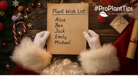 Choosing the Right Plant For Every Person on Your List