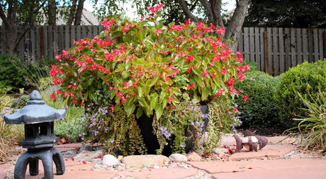 New Trends in Container Gardening