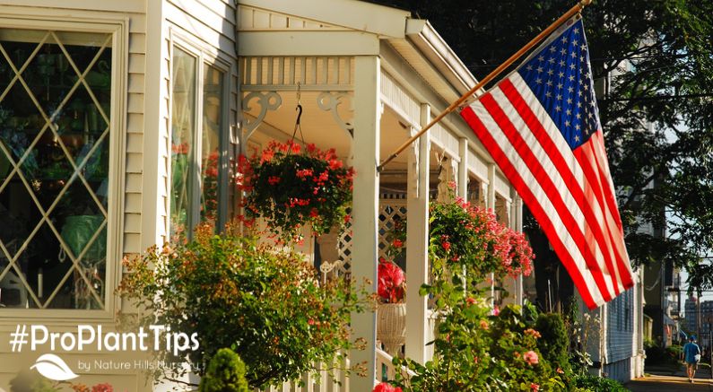 Create a Patriotic Garden by Playing with Reds, Whites & Blues!