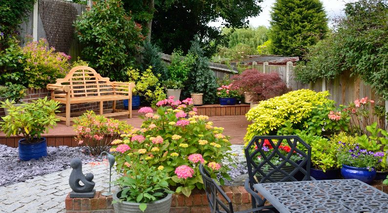 #ProPlantTips For Low Maintenance Landscaping