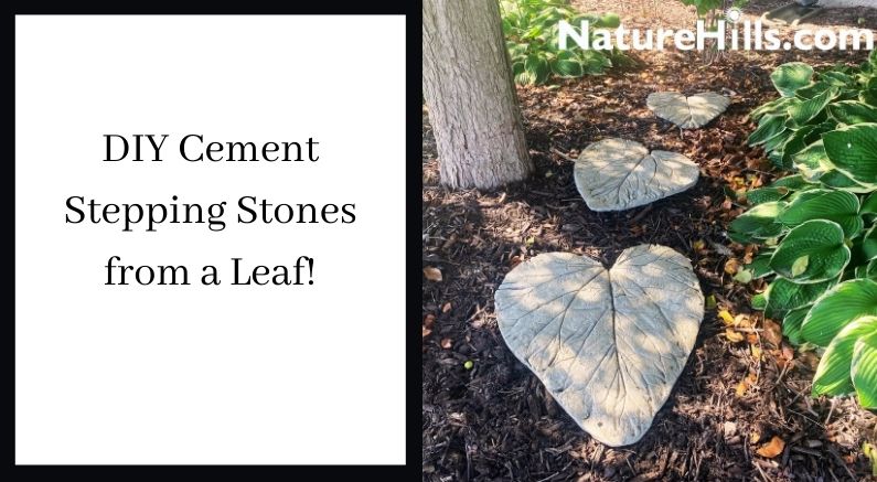 DIY Cement Stepping Stones from a Leaf!