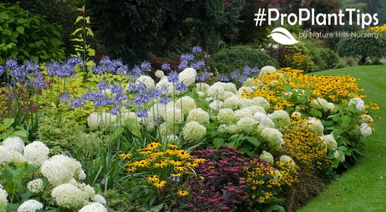 A Complete Guide to Planting Perennials - Nature Hills Nursery