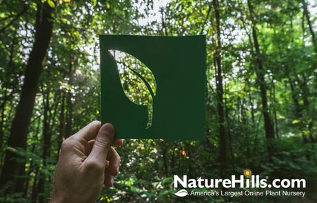 A Greener Future! Nature Hills Sustainable Nursery Practices: - Nature Hills Nursery