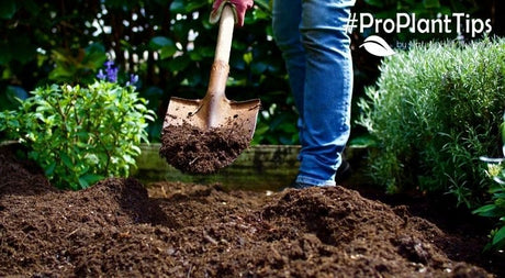 April is National Safe Digging Month! - Nature Hills Nursery
