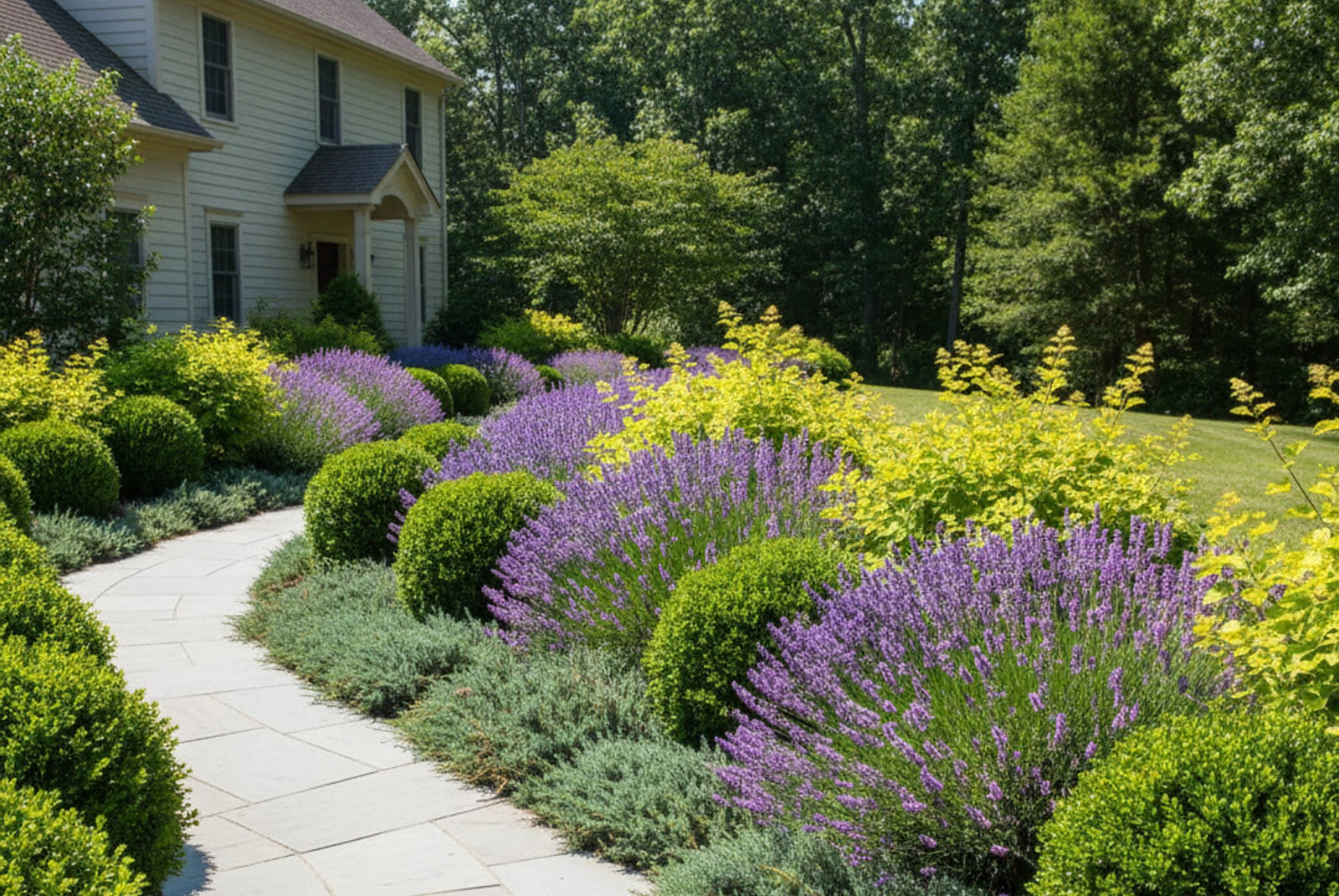 Best deer resistant shrubs - colorful garden border with boxwood, lavender, juniper, and spirea that deer avoid