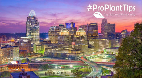 Best Plants For Cincinnati: A Guide For Year-Round Beauty - Nature Hills Nursery