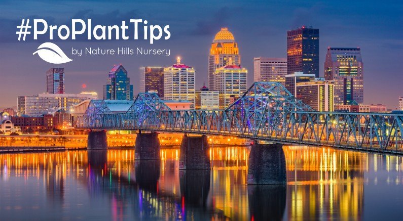 Best Plants For Louisville: Adapting To Kentucky’s Climate - Nature Hills Nursery