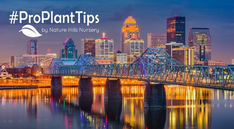 Best Plants For Louisville: Adapting To Kentucky’s Climate - Nature Hills Nursery
