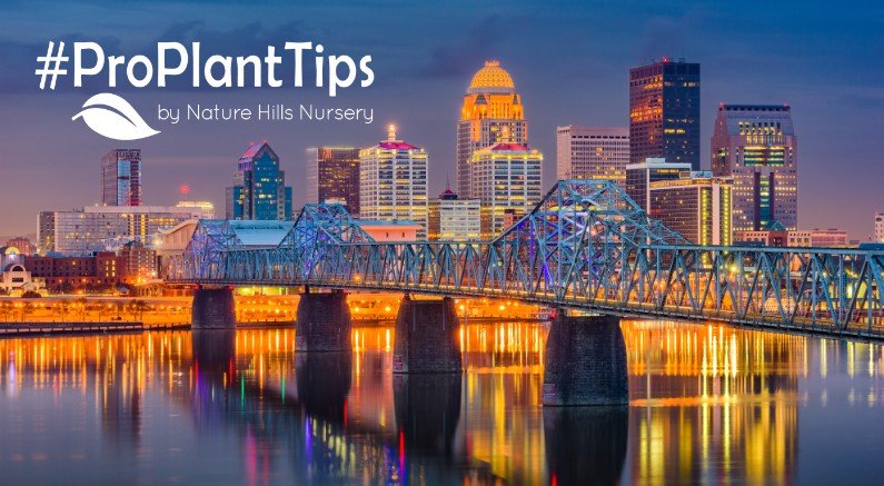 Best Plants For Louisville: Adapting To Kentucky’s Climate - Nature Hills Nursery