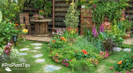 Catch The Drift on Mass Planting! - Nature Hills Nursery