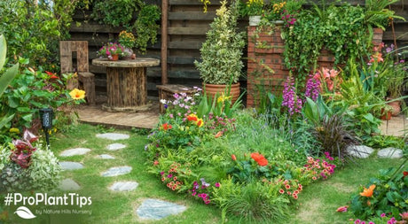 Catch The Drift on Mass Planting! - Nature Hills Nursery