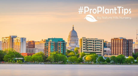 Cold-Hardy Plants That Are Perfect For Madison Wisconsin Gardens - Nature Hills Nursery