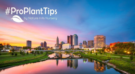 Columbus Gardening: Top Landscape Plants - Nature Hills Nursery