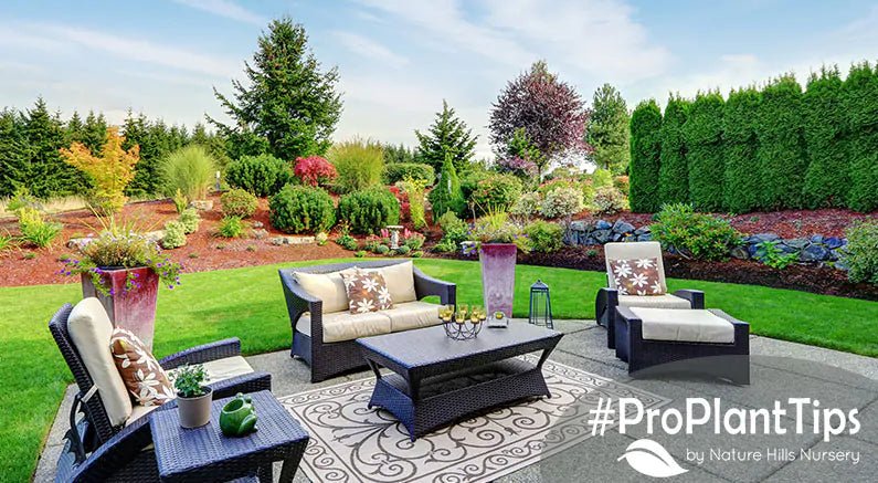 Create A Destination Spot In Your Landscape - Nature Hills Nursery
