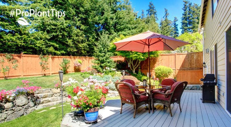Creating A Patio Garden Is A Fun And Rewarding Project - Nature Hills Nursery