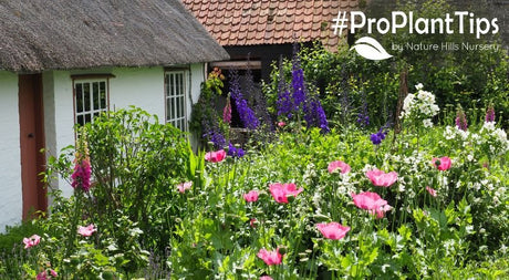 Creating the Coziest Cottage Garden! - Nature Hills Nursery