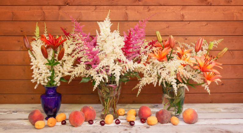 How to Use Astilbe in the Garden and Bouquets!