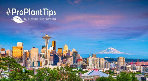 Best Plants for Seattle's Rainy Climate