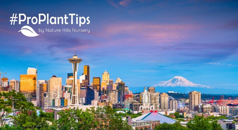 Dancing With the Drizzle: Choosing the Right Plants For Seattle’s Climate! - Nature Hills Nursery