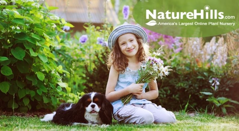 Dear Plants, We're Thankful For You! - Nature Hills Nursery
