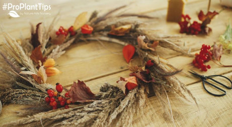 Decorating a Fall Wreath With Homegrown Flowers! - Nature Hills Nursery