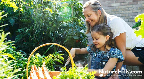 Design Tips For Edible Gardening - Nature Hills Nursery