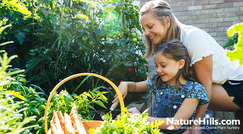 Design Tips For Edible Gardening - Nature Hills Nursery