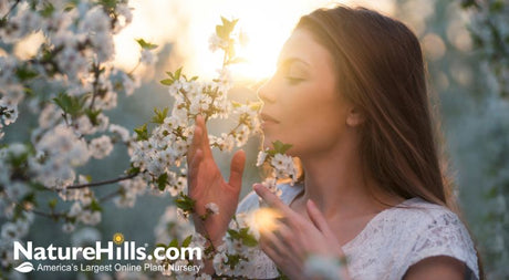 Designing a Fall Sensory Garden - Nature Hills Nursery