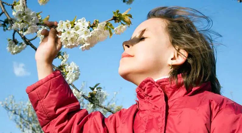 Don’t Stress Your Plant With Bad Air Circulation - Nature Hills Nursery