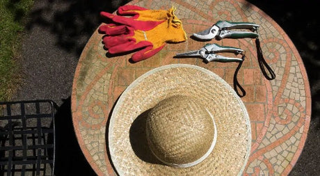 Fall Cleanup to Prepare for Winter Garden Interest - Nature Hills Nursery