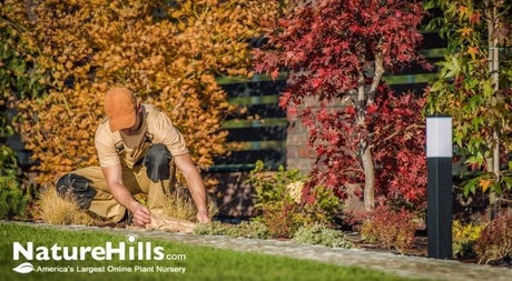 Fall Planting … Do It Now, Do It Right! - Nature Hills Nursery