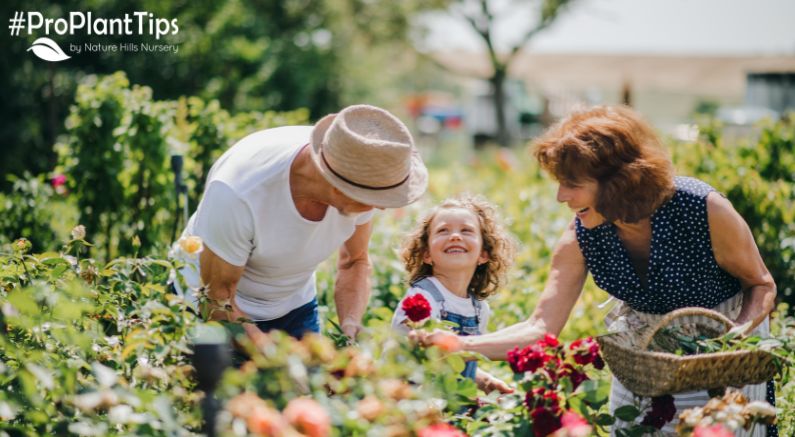 Find Your Local Agriculture Extension Office - Nature Hills Nursery