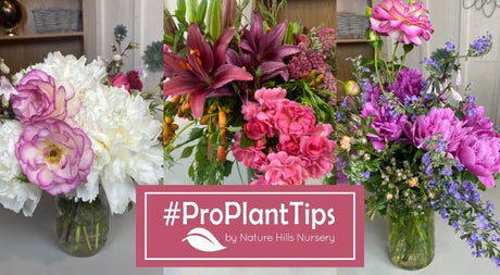 Floral Designing for Containers & Arrangements With Style! - Nature Hills Nursery
