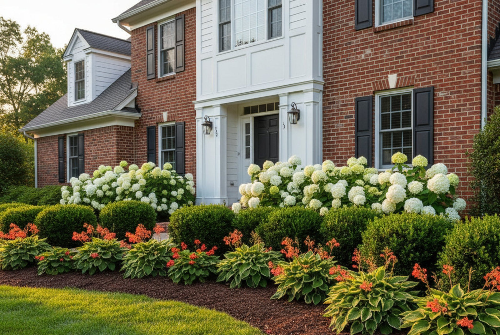 Foundation planting ideas for front of house - layered beds with boxwood hedges, white hydrangeas, and hostas in front of a traditional home