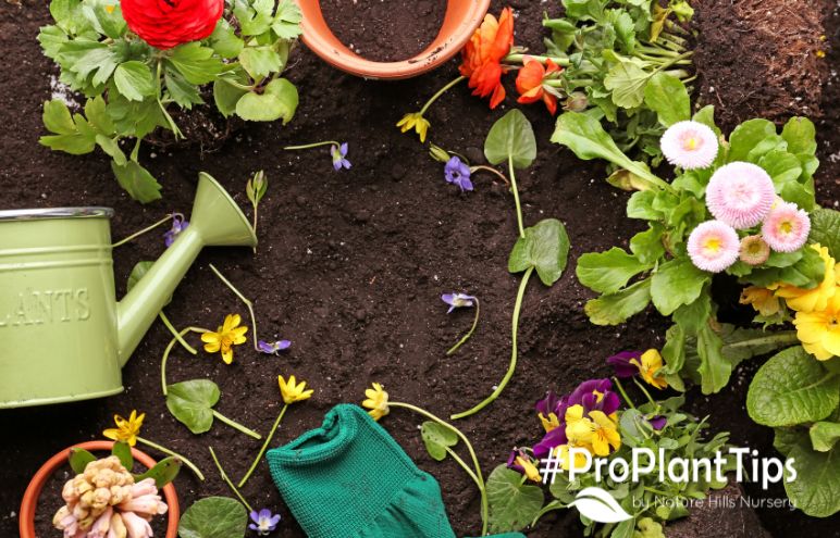 Gardening Trends to Keep an Eye on in 2025