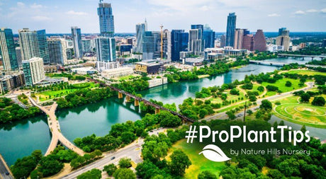 Gardening in Austin: Best Plants for Every Season! - Nature Hills Nursery