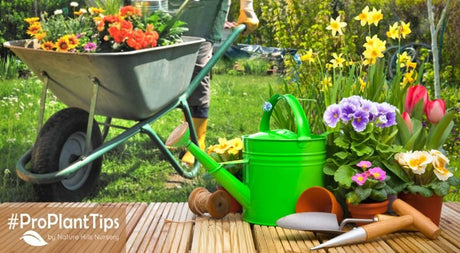 Gardening Trends For 2023! - Nature Hills Nursery