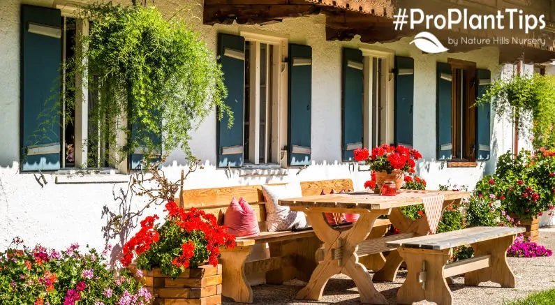 Happy National Plant Day! Here Are Some Crazy Plant Facts! - Nature Hills Nursery